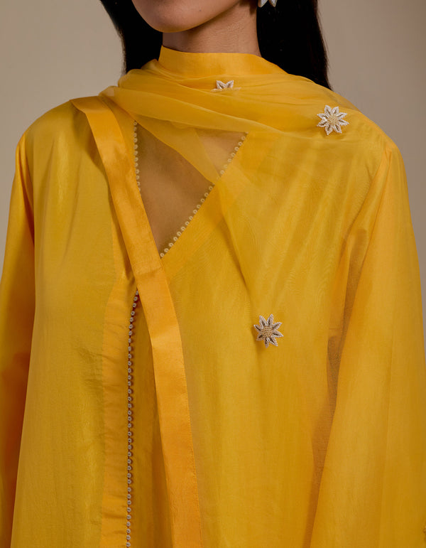 HAND EMBROIDERED DUPATTA- MANGO YELLOW