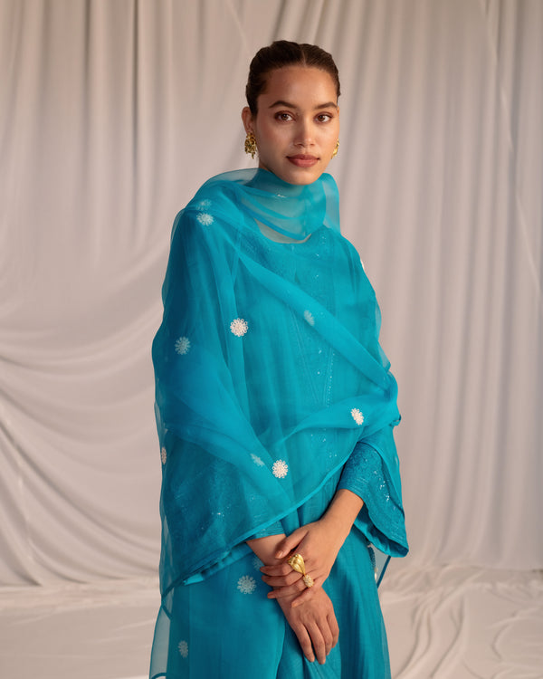 HAND EMBROIDERED DUPATTA- TURQUOISE BLUE